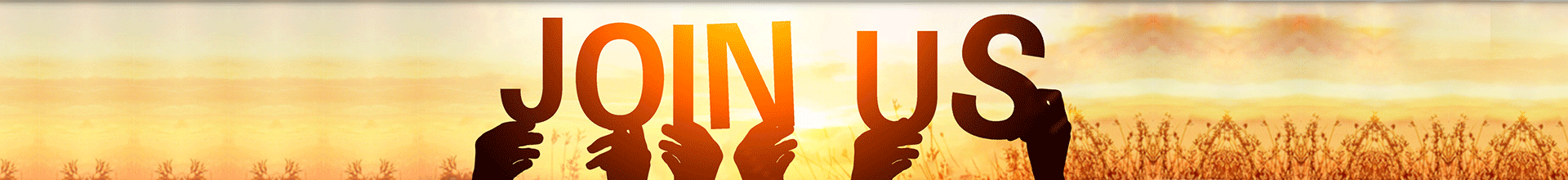 a(chn)н鷱sI(y)(w),ܛpɸ㶨